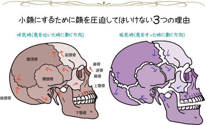小顔にするために顔を圧迫してはいけない3つの理由